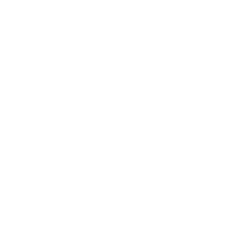 logo SOLVINCE B
